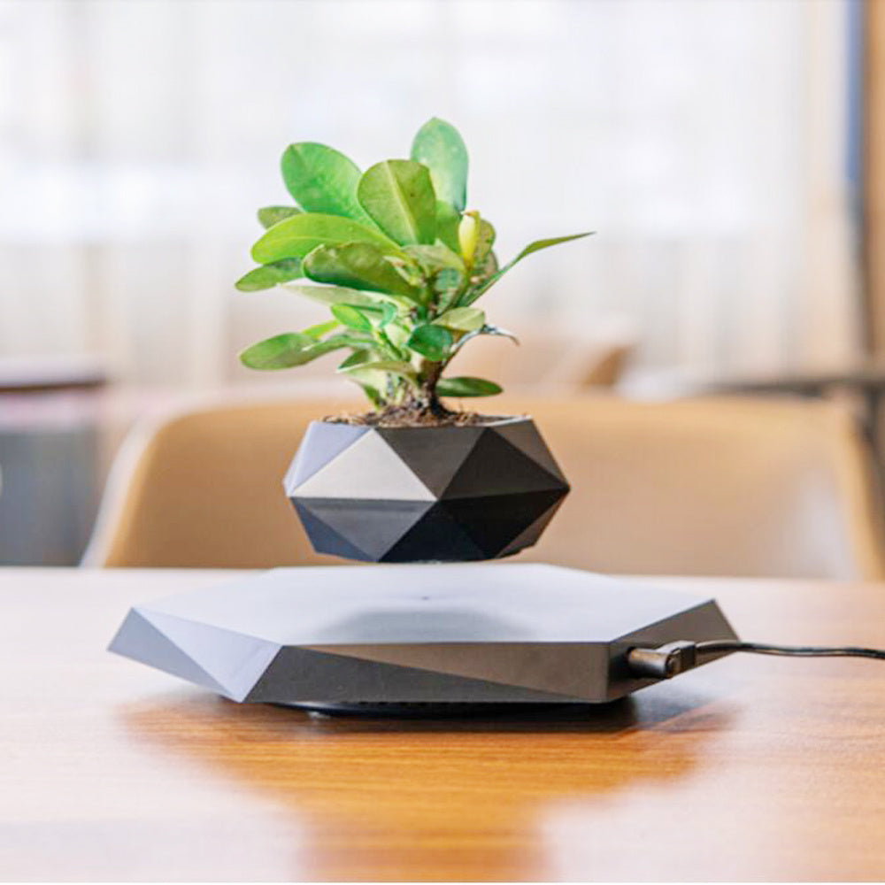 Floating Magnetic Levitating Flower Pot - Bonsai Air Plant Planter for Home & Office Desk Decor | Creative Gift